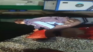 Samsunda 1 ton 300 kilo kaçak midye ele geçirildi