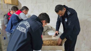 Şanlıurfada 11 ton kurtlanmış ceviz içi ele geçirildi