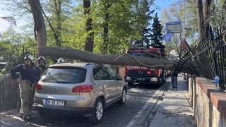 Sarıyerde şiddetli rüzgarda ağaç otomobilin üzerine devrildi
