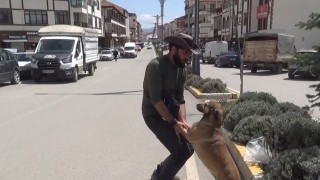 Seyyah Ömer, ‘Yoldaş ile 63. durağı olan Yozgatta fidan dikti