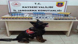 Sigara kaçakçıları jandarmadan kaçamadı