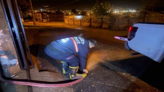 Siirtte sağanak yağış ve dolu hayatı felç etti