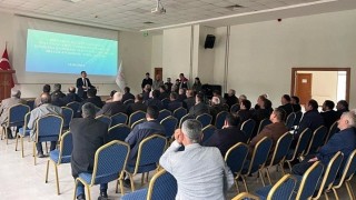 Sinopta sahipsiz hayvanlar için çözüm toplantısı