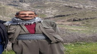 Şırnakta 60 yaşındaki çoban ölü bulundu