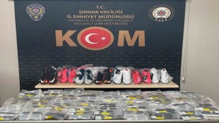 Şırnakta kaçakçılık, narkotik ve asayiş operasyonları: 29 şüpheliden 1i tutuklandı