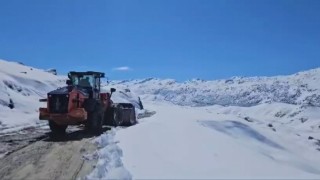 Şırnakta kar 25 santimi geçti