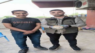 Şırnakta yaralı bulunan yaban hayvanları DKMP ekiplerine teslim edildi
