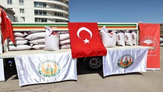 Sivasta çiftçilere 285 ton nohut tohumu dağıtıldı