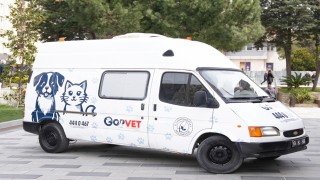 Sokak hayvanları için mobil veteriner