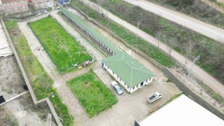 Sokak hayvanları için önemli adımlar atacaklar