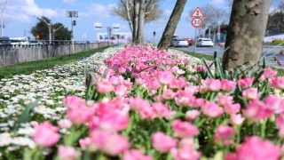 Sultangazinin cadde ve sokaklarına bahar geldi