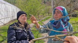 Tarım alanlarında zarar tespit incelemesi