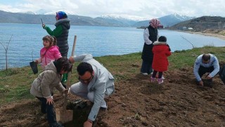 Tatvanda badem fidanları toprakla buluştu