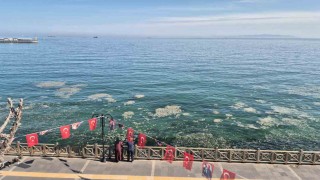 Tekirdağ kıyılarında müsilaj benzeri beyaz tabaka tedirgin etti