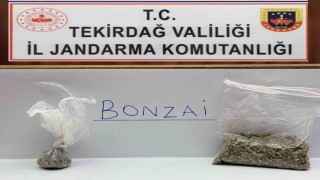 Tekirdağda jandarma yol ve mahalle denetimlerinde bonzai ele geçirdi