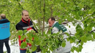 Termede hasar tespiti çalışmaları başladı