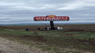 Totem tabelasına çarpan otomobil sürücüsü yaşamını yitirdi
