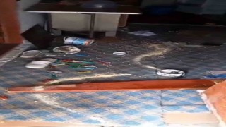 Trabzonlu vatandaştan köy evine giren ayıya komik sitem