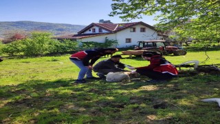 Türkelide sahipli köpeklere mikroçip uygulaması