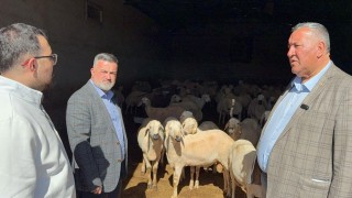 Türkiye'de Kurbanlık Fiyatları El Yakıyor: Emekli Kurban Alamıyor, Hayvancılık Krizde!