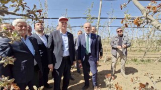 TZOB Başkanı Bayraktar: Zirai don ile büyük bir felaket yaşandı