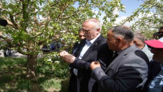 TZOB Genel Başkanı Bayraktar, Niğdede zirai don zararı gören bahçeleri inceledi