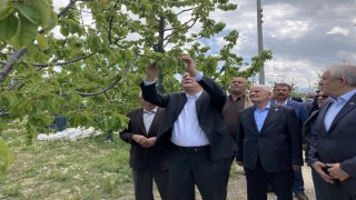TZOB Genel Başkanı Şemsi Bayraktar: 3 gün süren don olayı maalesef ürünlerimizi ve üreticimizi perişan etti