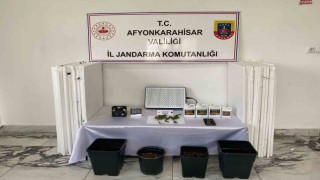 Uyuşturucu operasyonunda 1 kişi gözaltına alındı