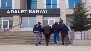 Vanda 10 organizatör yakalandı