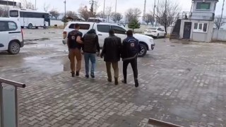 Vanda 13 organizatör tutuklandı