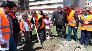 Vanda Alzheimer hastaları, nöroloji ve psikiyatri hastaları için meyve bahçesi oluşturdu