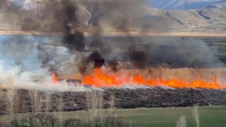 Vanda sazlıklar tehlikede