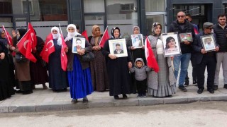 Vanlı annelerin evlat nöbeti 100üncü haftasında