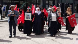 Vanlı annelerin evlat nöbeti 99uncu haftasında