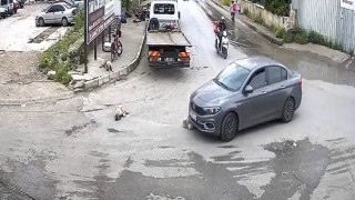 Vicdansız sürücü köpeği ezdi, arkasına bile bakmadı
