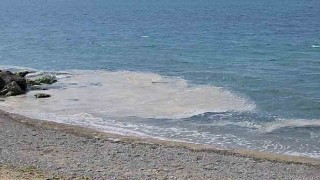 Yalova kıyılarında müsilaj görüldü