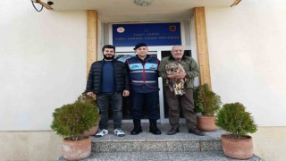 Yaralı kaya kartalına jandarma şefkati