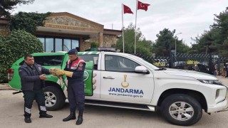 Yaralı şahine jandarmadan şefkat eli