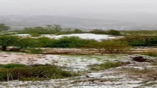 Yaz geldi derken, İzmir Ödemiş beyaza büründü