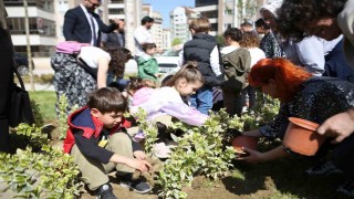Yeni parkın bitkilerini minikler dikti