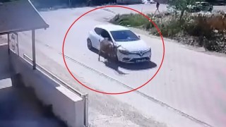Yol artasındaki eşeği ezdi