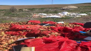 Yol kenarına dökülen soğanlara vatandaşlardan tepki