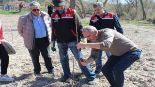 Yükümlüler ile meyve fidanlarında dikim budaması eğitimi yapıldı