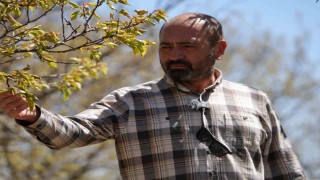Zirai don, meyve bahçelerinde ürün bırakmadı: 22 yıldır ilk kez böyle bir soğukla karşılaştık