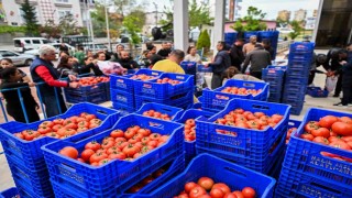 Zirai dona karşı Muratpaşadan 10 tonluk domates desteği