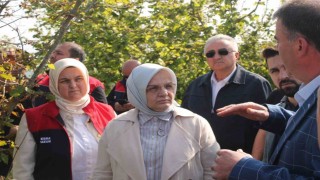 Zirai donun etkilediği yerde inceleme