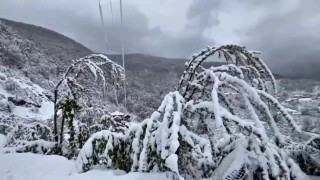 Zonguldakın yüksek kesimlerinde kar etkili oldu
