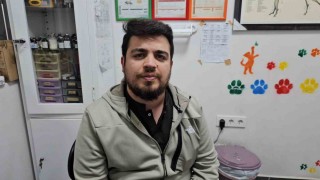 Zonguldakta kediye altın diş yapıldı