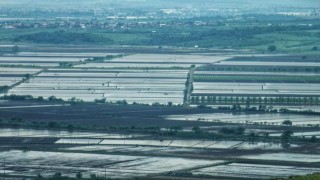 2025 sezonunda çeltik ekimine sınırlama uygulanacak