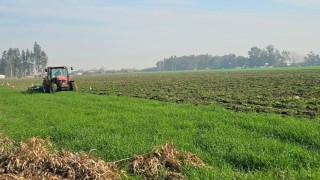 41 hektarlık ormanı tarım alanına dönüştürmeye çalıştılar, zamanında müdahale engel oldu